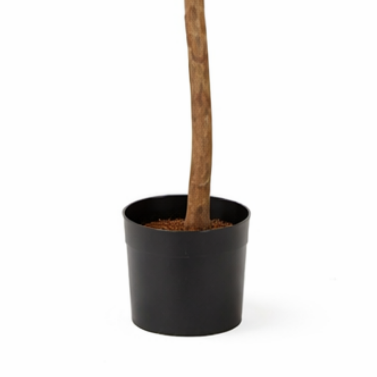 Kunstplant Ficus Triangularis Groen – 150 cm
