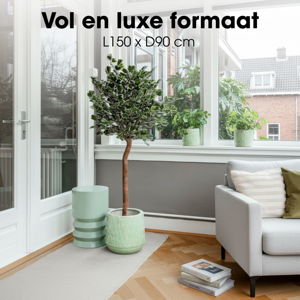 Kunstplant Ficus Triangularis Groen – 150 cm